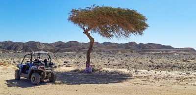 Marsa Alan Desert quad tour