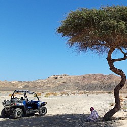 Marsa Alam tour guide taxi quad desert trip fox