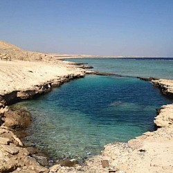 Marsa Alam tour guide taxi nazak nature trip fox