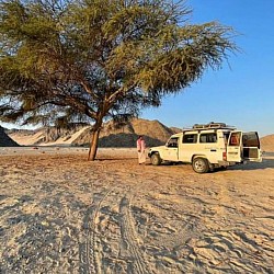 Marsa Alam tour guide taxi desert safari trip fox